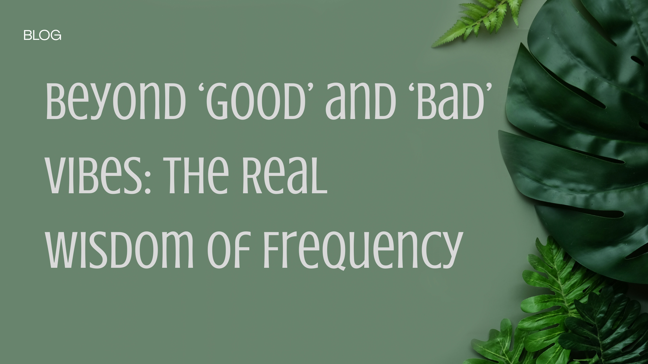 Beyond ‘Good’ and ‘Bad’ Vibes: The Real Wisdom of Frequency