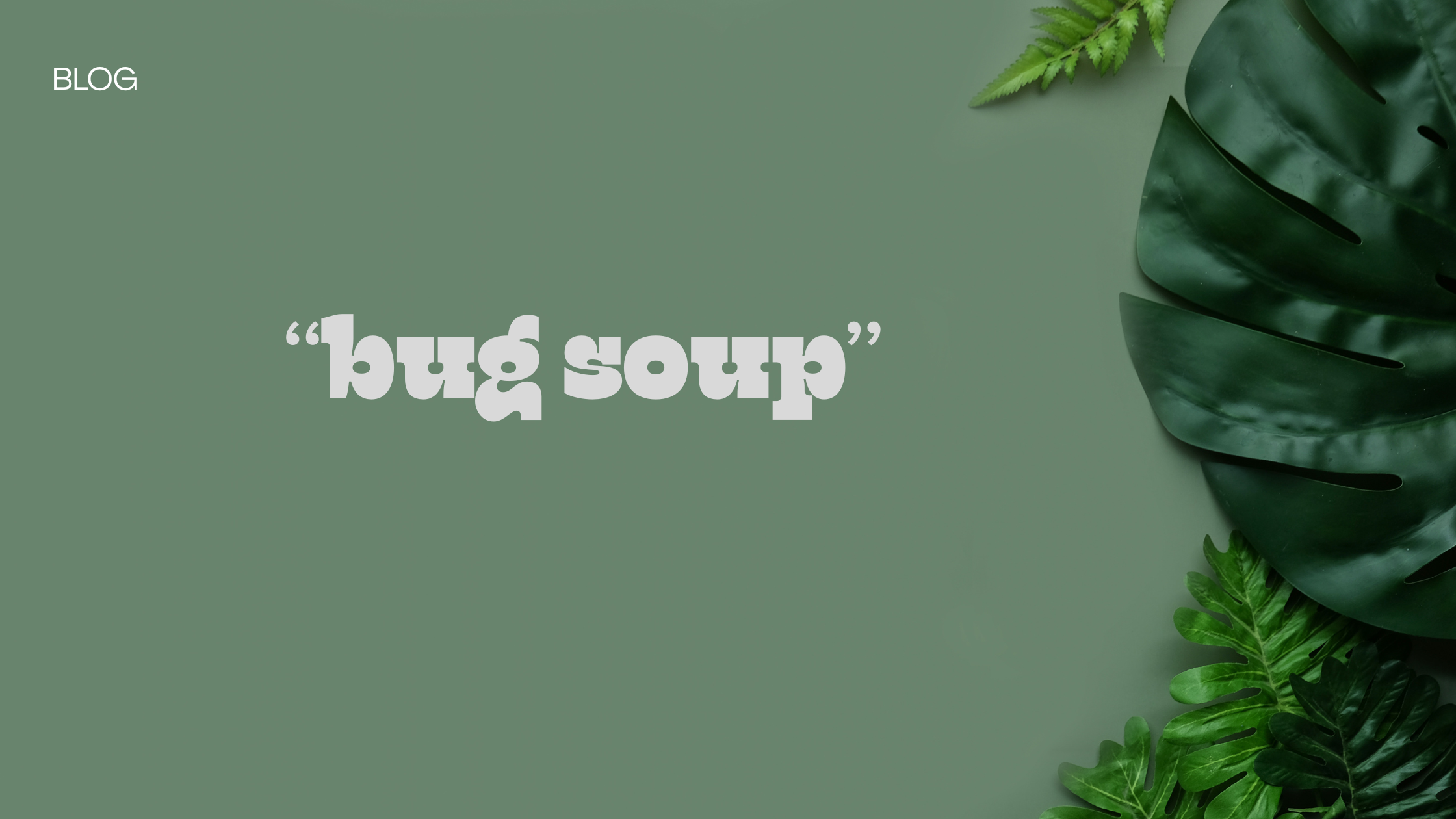 Bug Soup